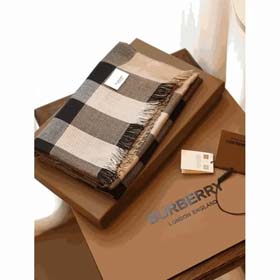 BURBERRY (34 styles) -2304